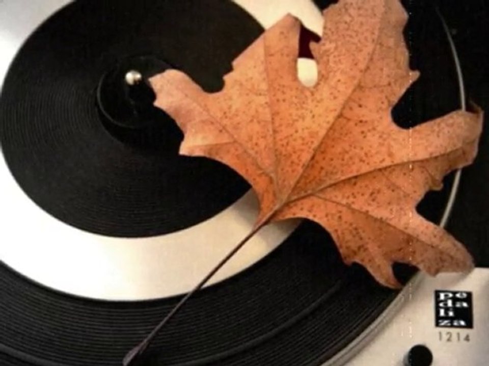 Semiha Yankı - Yaz Deftere