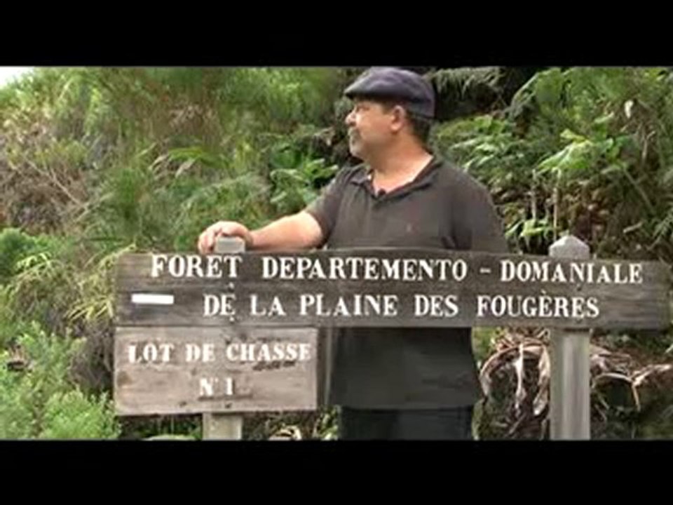 Les balades de Laura à Sainte-Marie (Ile de la Réunion)