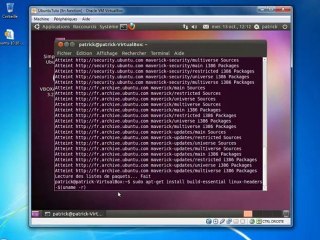 Ajuster la fenêtre d'Ubuntu 10.10 en virtualisation