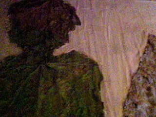 la toile (bande annonce)