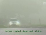 UP24.TV Herbst: Nebel ... Laub ... und Glätte (DE)