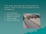 Green Solutions – The New Carpet Cleaning Services