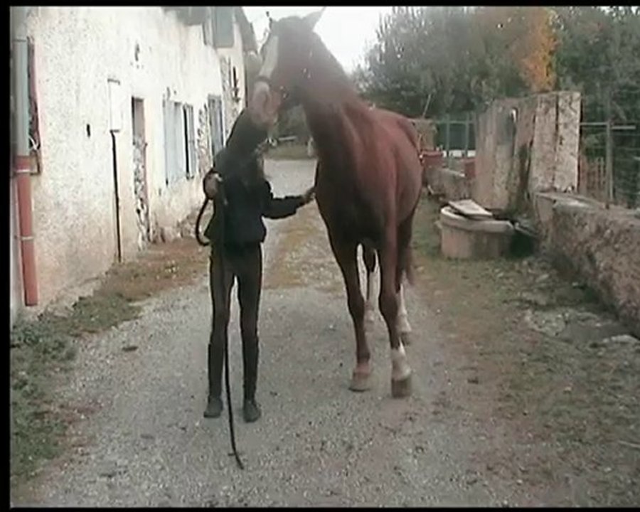 premières vrai jambettes du Loulou