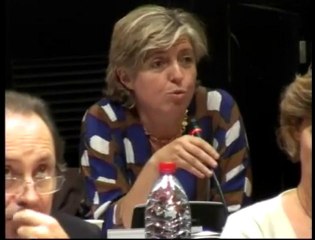 Intervention Pineau Conseil Octobre 2010