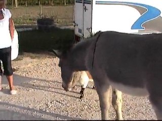 voyage en CC sept 2010 011 01