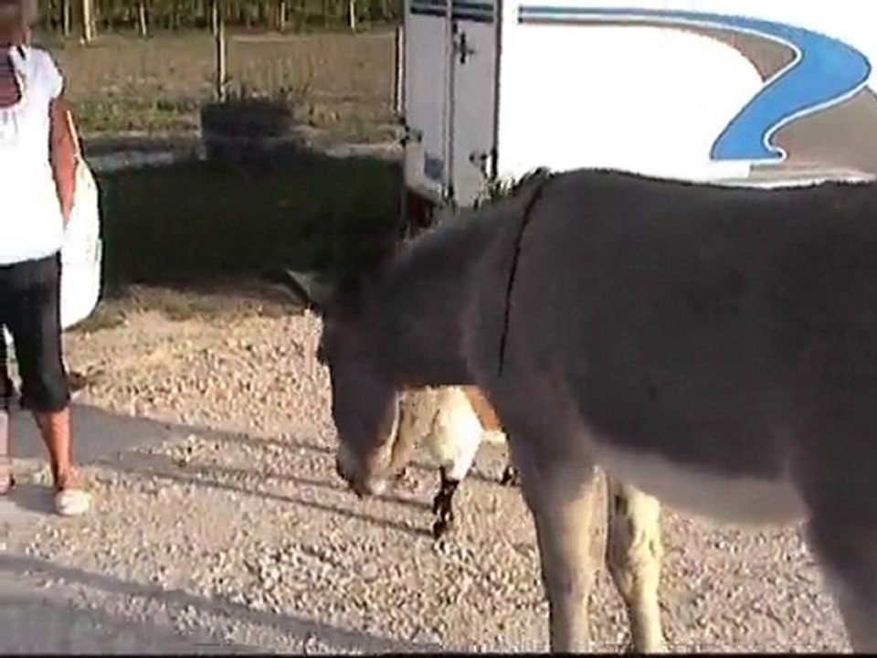 voyage en CC sept 2010 011 01