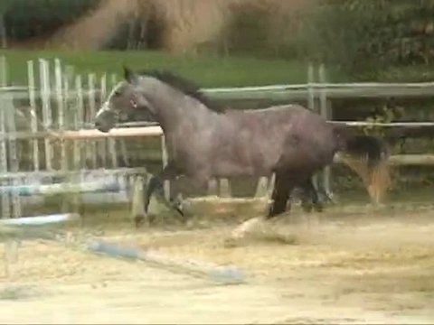 Twincken'am de vie par Mylord Carthago