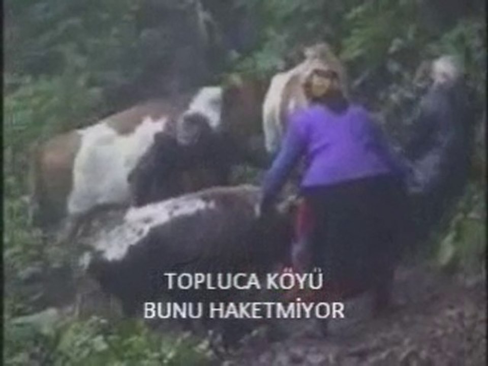TOPLUCA KOYU