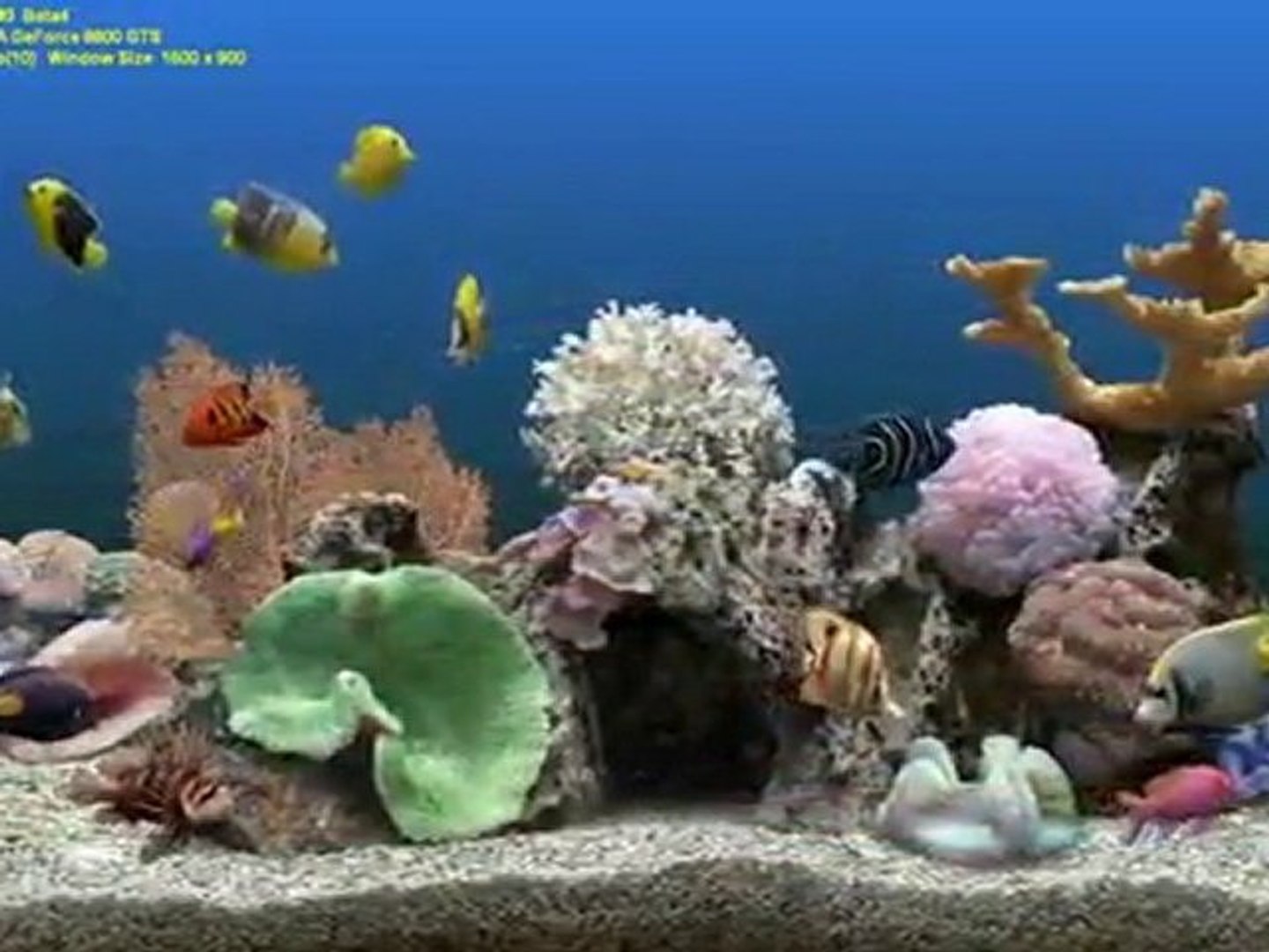 FOND ECRAN AQUARUIM 3 ( seven ) - Vidéo Dailymotion, image size:1440x1080