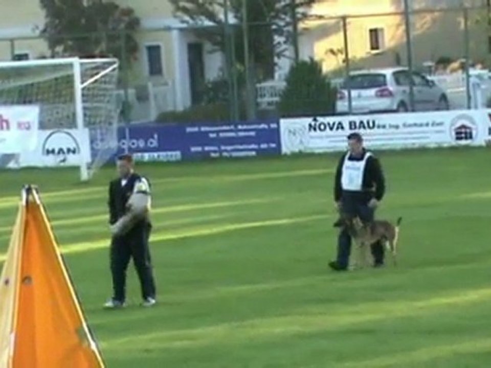 FCI-Quali-2011-GRUBER/Apollon - Schutz