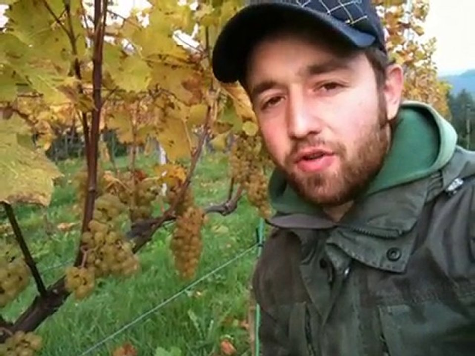 herrenhof Episode #13 - Erntebericht - Deutsch