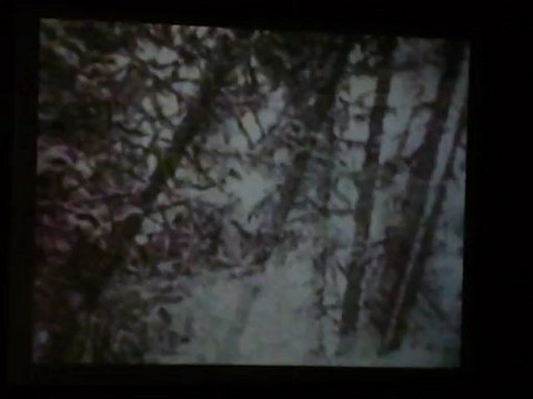 v046- Film Val Jalbert