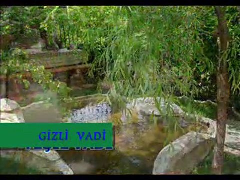 gizli vadi bursa canlı alabalık