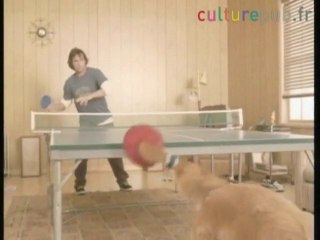 Un incroyable champion de ping-pong