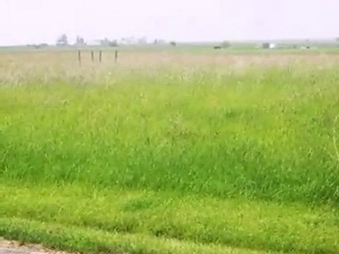 Homes for Sale - Lot138 Tamarind Court - Stelle, IL 60917 -