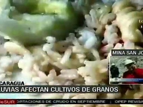 Lluvias en Nicaragua afectan cultivos de granos