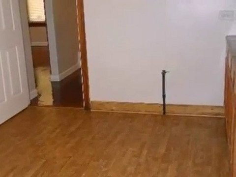 Homes for Sale - 9918 South LaSalle Street - Chicago, IL 606