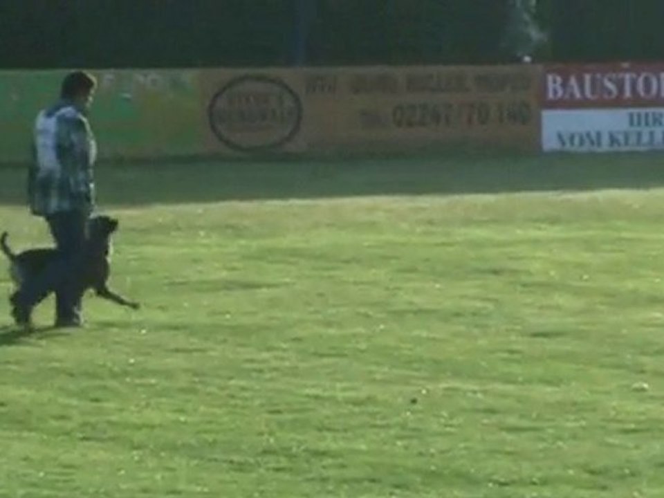 FCI-Quali-2011-SCHRIEFL/Greta-UO