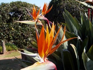 Pretoria: Flight to Johannesburg & Pretoria Photos