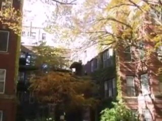 Homes for Sale - 3648 N Pine Grove Ave - Chicago, IL 60613 -