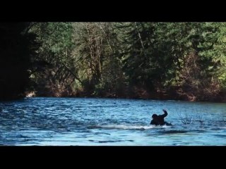 Première bande-annonce pour Wrecked de Michael Greenspan