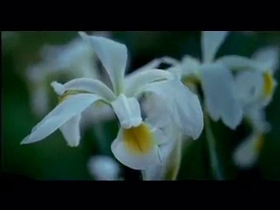 Ferme en Fête - "au moins 5 fruits et légumes par jour"