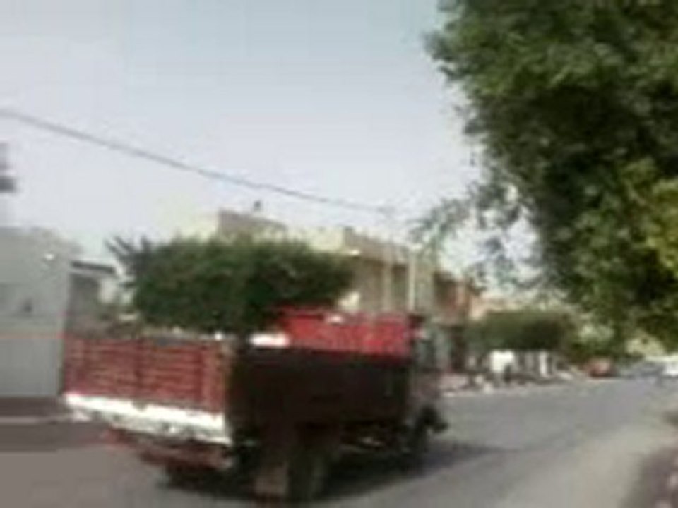 bou merdes avenue bourguiba