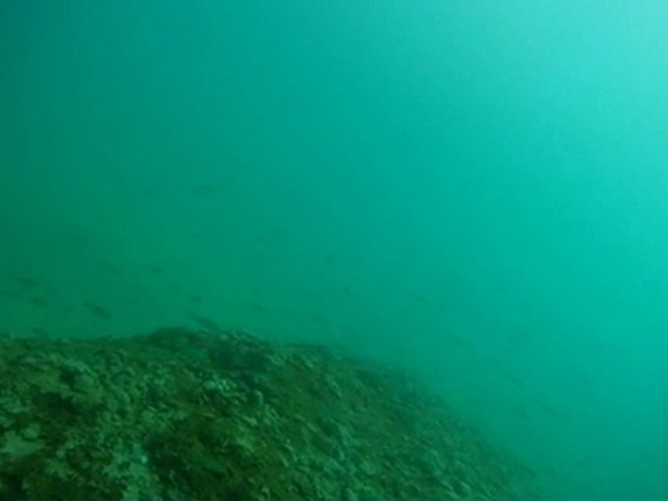 Matschelsee