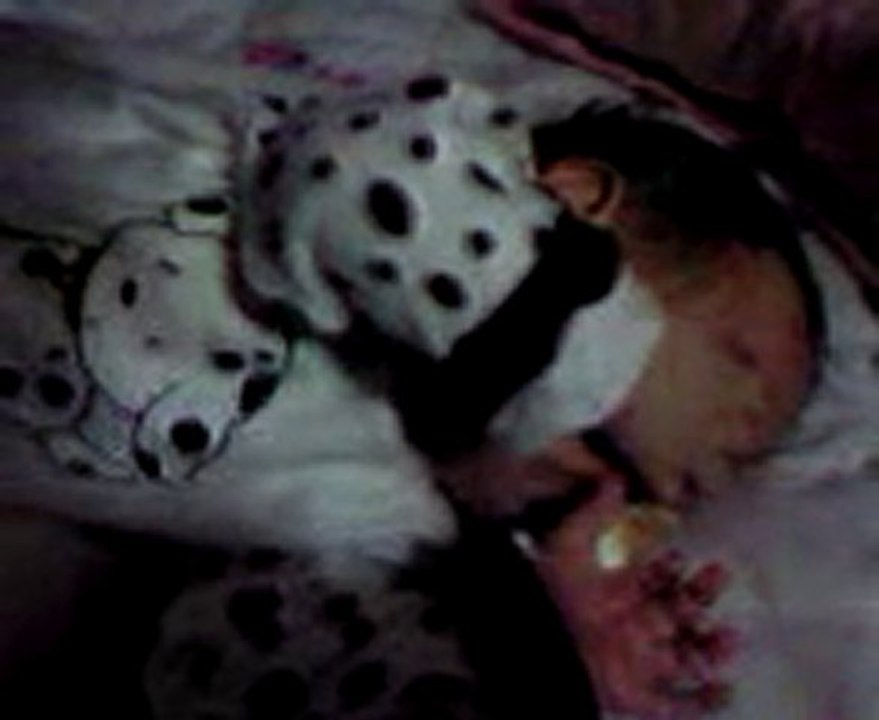 dodo ines