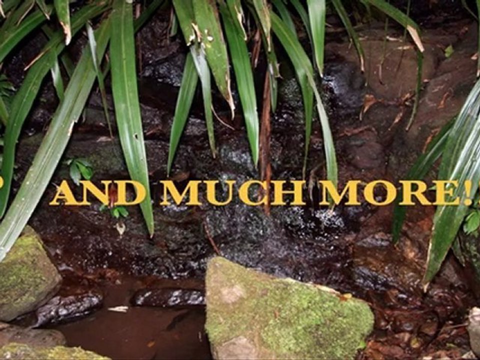 Yeast Infection Remedies: Candida Remedies,Treating Thrush