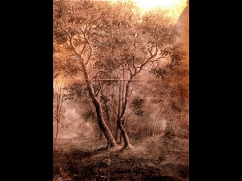 PASCAL RAVAT   LE BRUIT DES OISEAUX DE THE WEEK ALIBIS