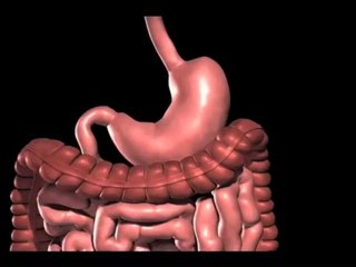 Corpus Christi Lap Band Doctors