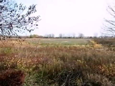 Homes for Sale - 0 Chicory Rd - Mount Pleasant, WI 53403 -