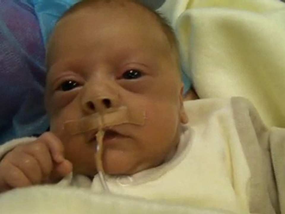 Raphaël , mon bébé plume :-)