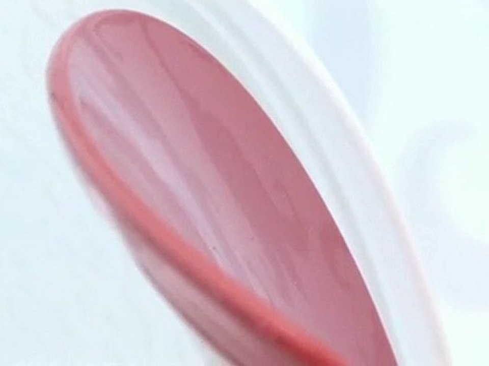 Magis - Salone 2010 - Troy