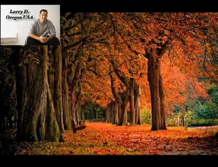 Online Digital Photography Course - Become a Pro