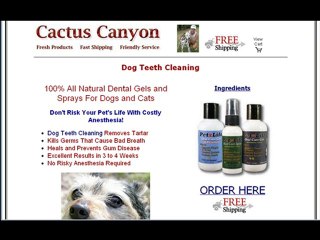 Dog Teeth Cleaning: #1 Tip!