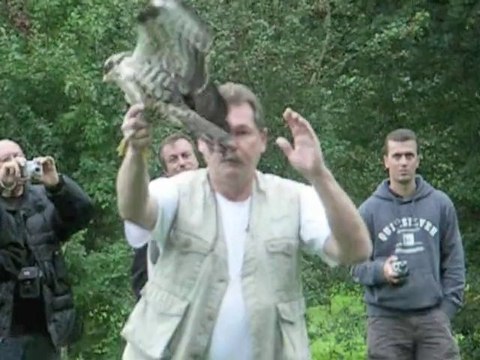 St-Martin-Longueau : la cigogne Léone a retrouvé la liberté