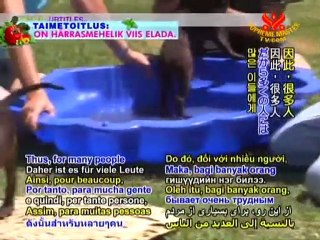Telepathic Animal Communicator Carol Gurney - P2/2