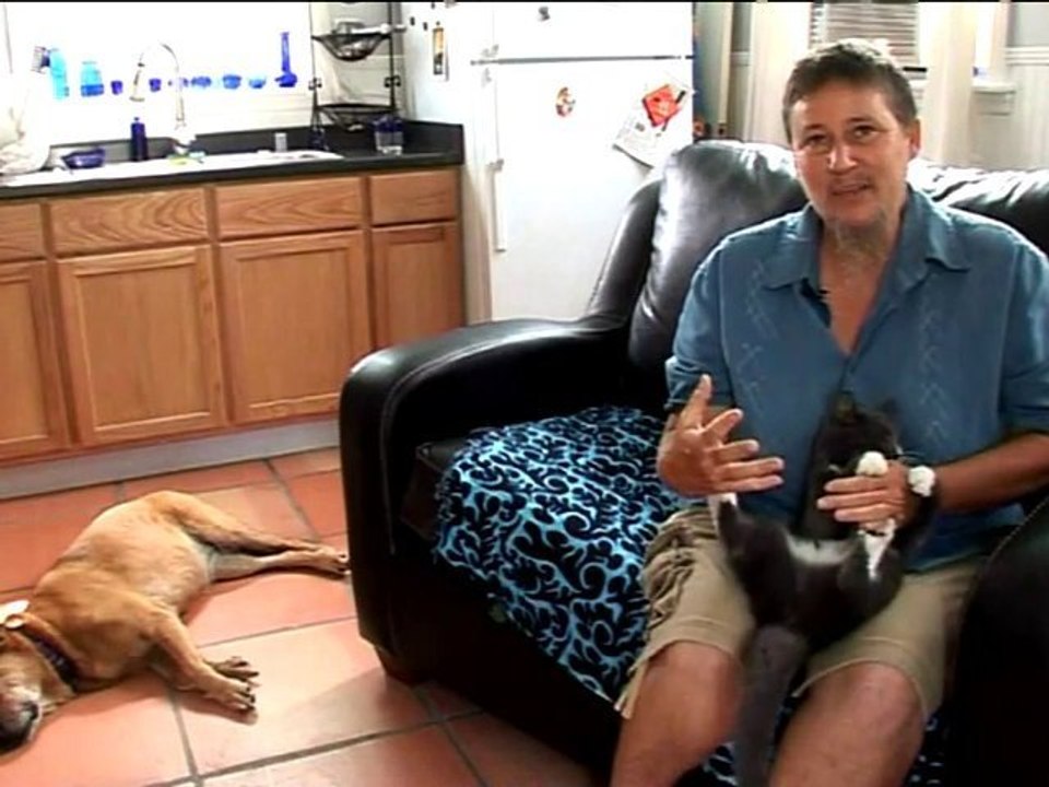 Exclu réalisatrice vidéo "suprised kitty" - Femme à barbe !