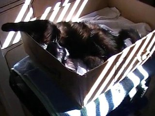 Les tites kokines s'amusent vraiment bien ,