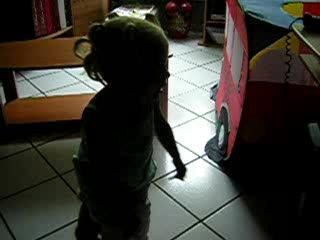 zéa danse sur le ragga des pingouings