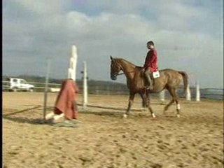 J'apprend mon cheval a sauter (tome 1)