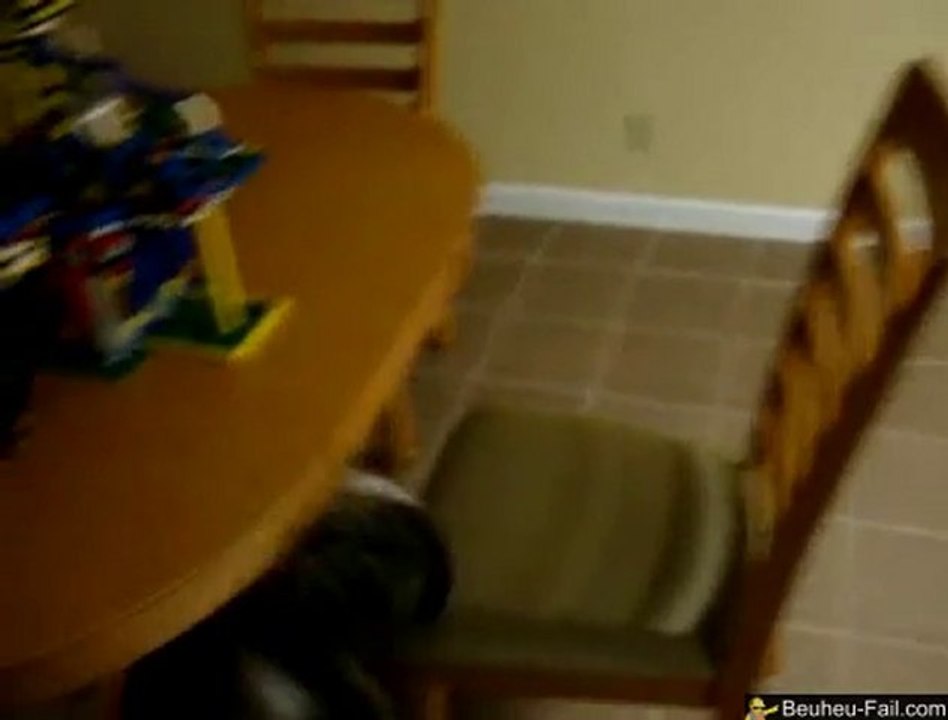 Cat Jump FAIL 3