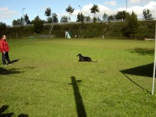 Abscence BO 07 10 06