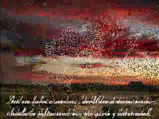 Ey Yerin Göğün Sahibi