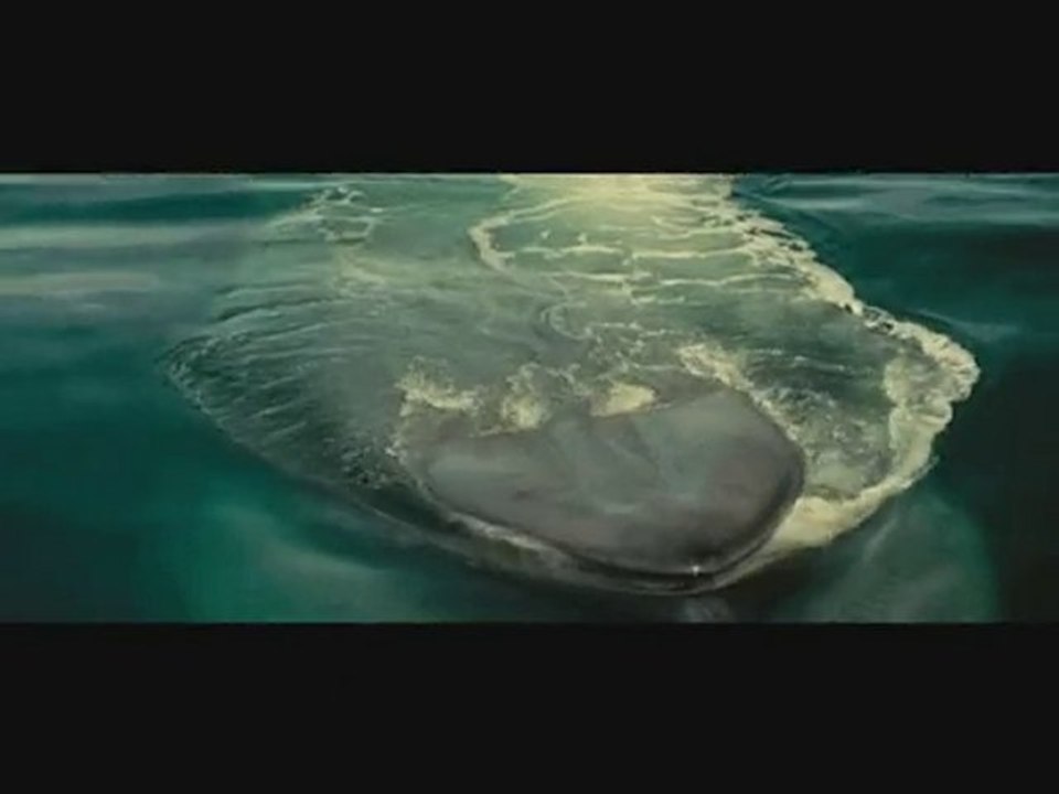 Baleine en chasse !...