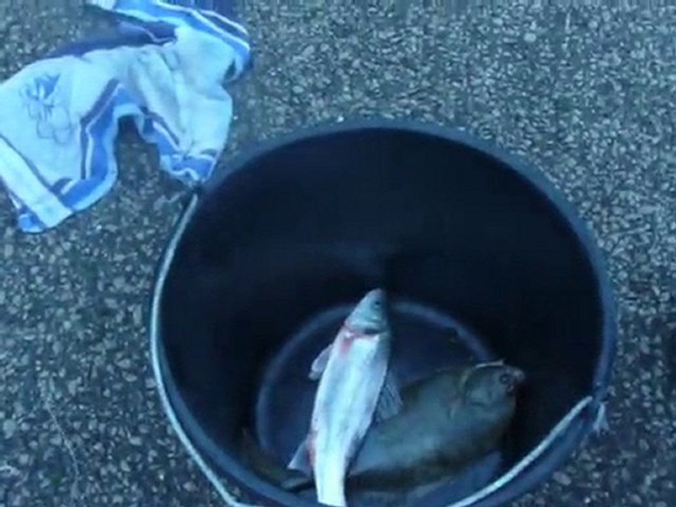 nono a la péche cool