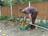 Récolter des fruits dans les rues de Londres: c'est possible!