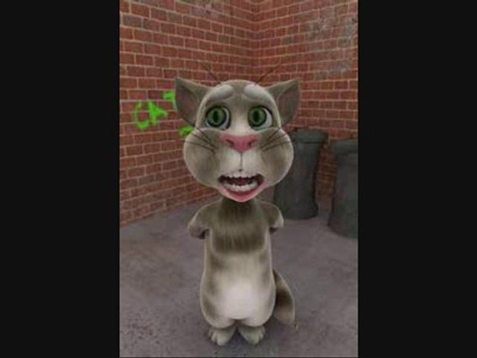 tom timur